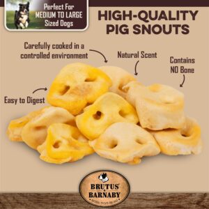 BRUTUS & BARNABY Pig Snout Dog Treat - 100% Natural - Our Healthy Pig Snouts for Dogs are Easy to Digest, Chemical & Hormone Free, Thick & Hearty Chew, Great for Small Or Large Dogs