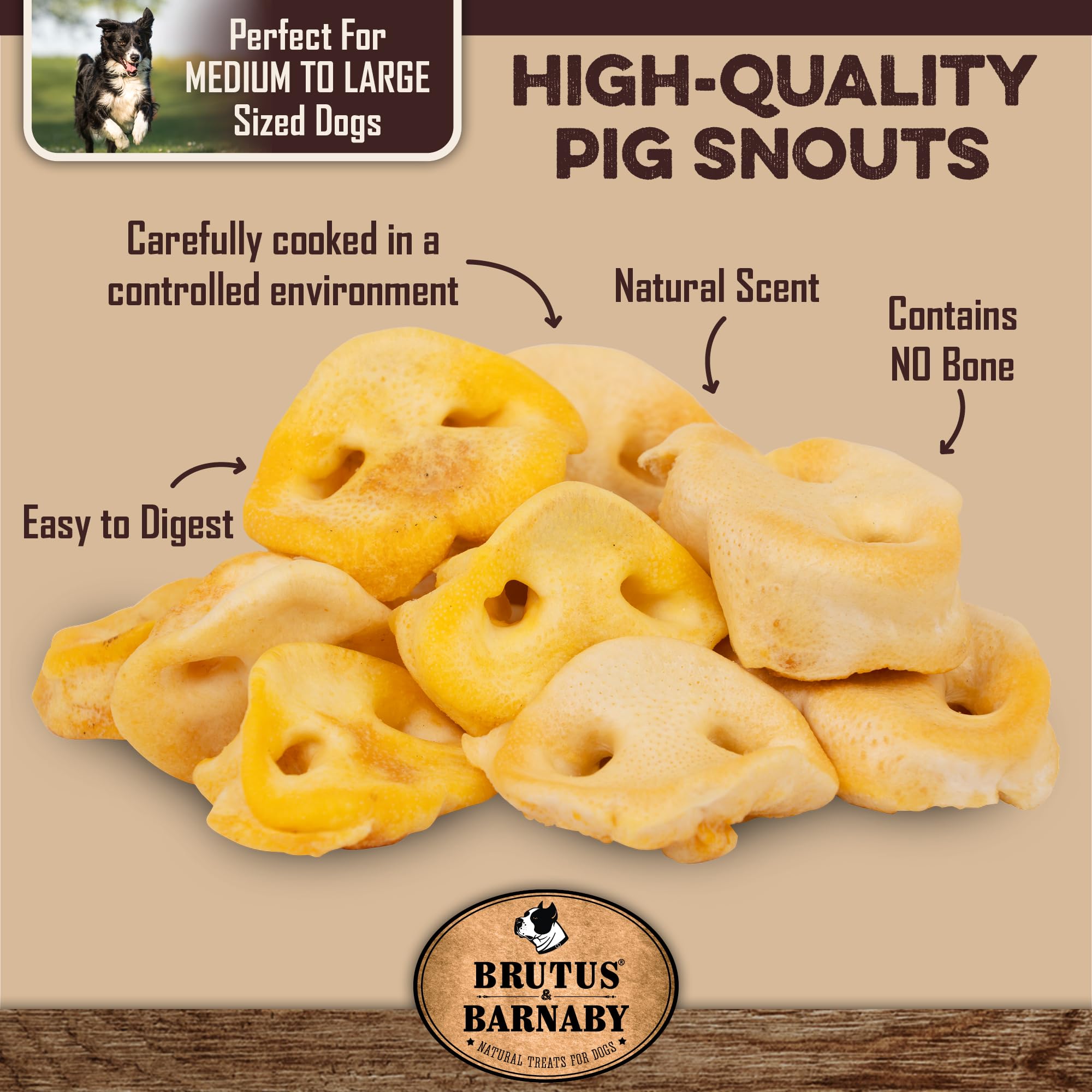 BRUTUS & BARNABY Pig Snout Dog Treat - 100% Natural - Our Healthy Pig Snouts for Dogs are Easy to Digest, Chemical & Hormone Free, Thick & Hearty Chew, Great for Small Or Large Dogs