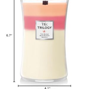 WoodWick Large Hourglass Candle, Blooming Orchard - Premium Soy Blend Wax, Pluswick Innovation Wood Wick, Made in USA