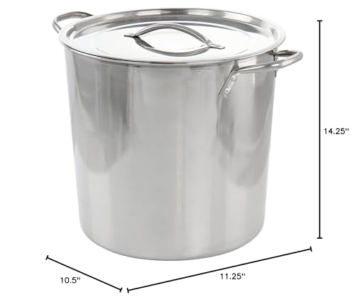 Everyday 16 Quart Stainless Steel Stock Pot with Lid Silver Non-Stick