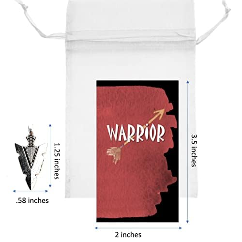 Smiling Wisdom - Bulk 30 Gift Sets - Employees Staff Motivational Encouragong Warrior Keepsake Appreciation Cards, Bags - 90 PCS - Silver Warrior Arrowhead