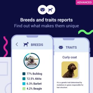 tellmeGen Koko Genetics DNA Test for Dogs Advanced - Analyzes +400 Breeds and +175 Health & Traits Reports