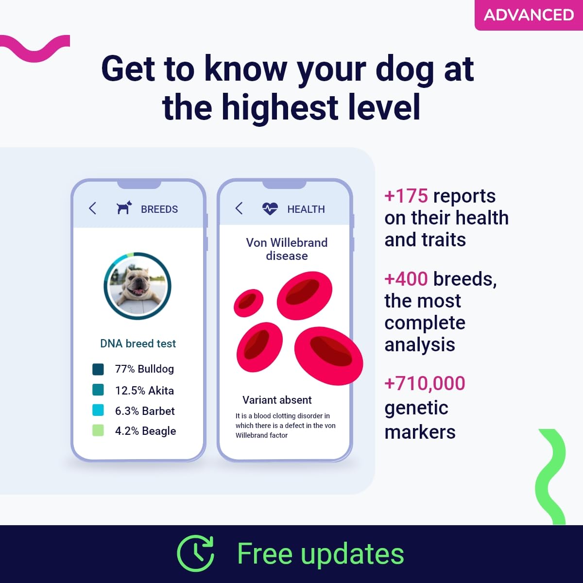 tellmeGen Koko Genetics DNA Test for Dogs Advanced - Analyzes +400 Breeds and +175 Health & Traits Reports