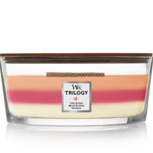 WoodWick Ellipse Candle, Blooming Orchard Trilogy, 16 oz.