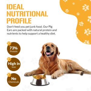 Dog Chits Pig Ears Dog and Puppy Treats - All Natural Grain and Chemical Free Training Chews - High Protein and Low Fat - Supports Dental Health - Made in The USA - 15 Pack