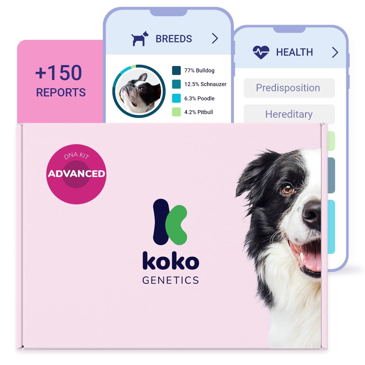 tellmeGen Koko Genetics DNA Test for Dogs Advanced - Analyzes +400 Breeds and +175 Health & Traits Reports