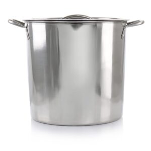 Everyday 16 Quart Stainless Steel Stock Pot with Lid Silver Non-Stick