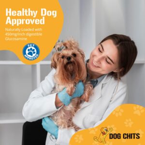 Dog Chits Pig Ears Dog and Puppy Treats - All Natural Grain and Chemical Free Training Chews - High Protein and Low Fat - Supports Dental Health - Made in The USA - 15 Pack