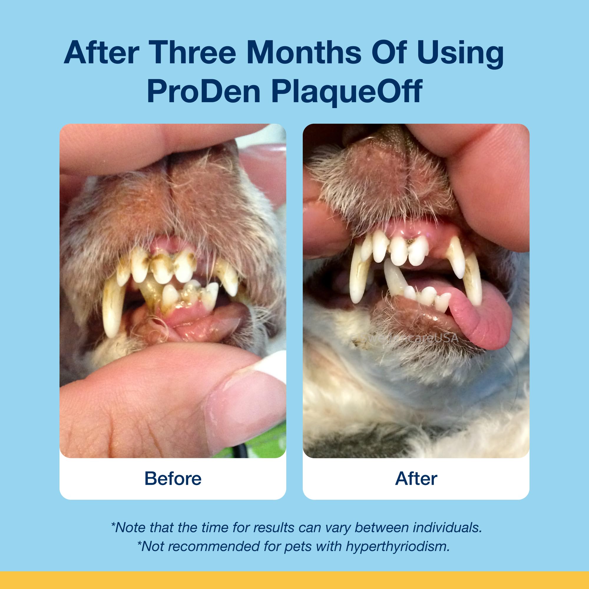 ProDen PlaqueOff Soft Chews with Natural Kelp - for All Breed Cats - Supports Normal, Healthy Teeth, Gums, and Breath Odor in Cats - 45 Soft Chews