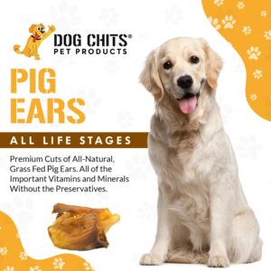 Dog Chits Pig Ears Dog and Puppy Treats - All Natural Grain and Chemical Free Training Chews - High Protein and Low Fat - Supports Dental Health - Made in The USA - 15 Pack