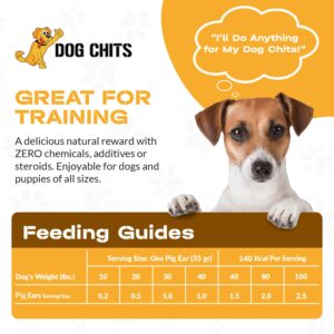 Dog Chits Pig Ears Dog and Puppy Treats - All Natural Grain and Chemical Free Training Chews - High Protein and Low Fat - Supports Dental Health - Made in The USA - 15 Pack