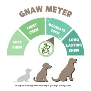 Nature Gnaws Beef Tendons for Dogs 7-11" (6 Count) - Long Lasting for Aggressive Chewers & Large Dogs - Natural Beef Jerky Dog Chew Bones - Rawhide Free