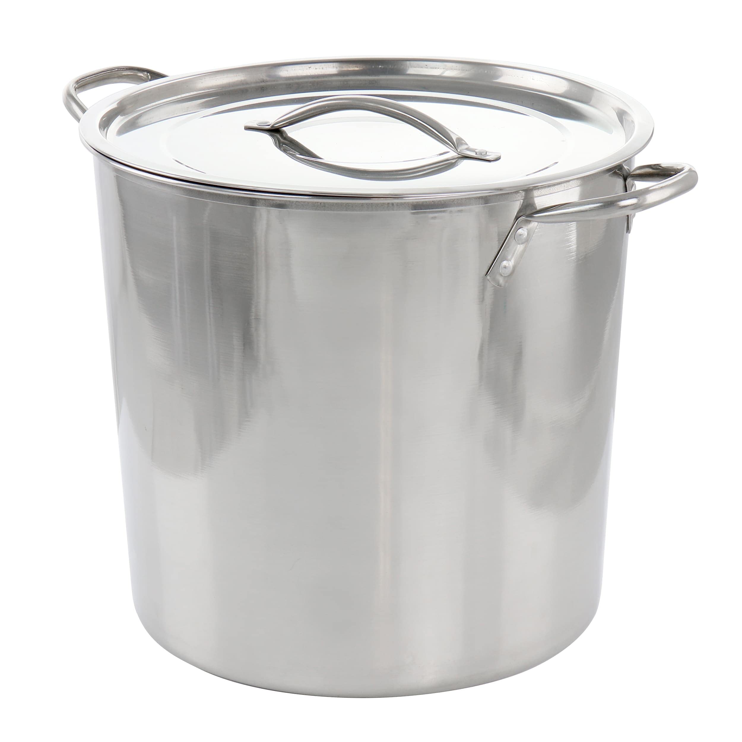 Everyday 16 Quart Stainless Steel Stock Pot with Lid Silver Non-Stick