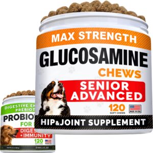 senior advanced glucosamine joint supplement + probiotics for picky eaters bundle - hip & joint pain relief + allergy, diarrhea - digestive enzymes, prebiotics + omega-3, chondroitin, msm - 240 chews