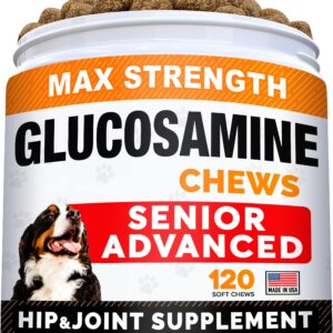 Senior Advanced Glucosamine Joint Supplement + Probiotics for Picky Eaters Bundle - Hip & Joint Pain Relief + Allergy, Diarrhea - Digestive Enzymes, Prebiotics + Omega-3, Chondroitin, MSM - 240 Chews