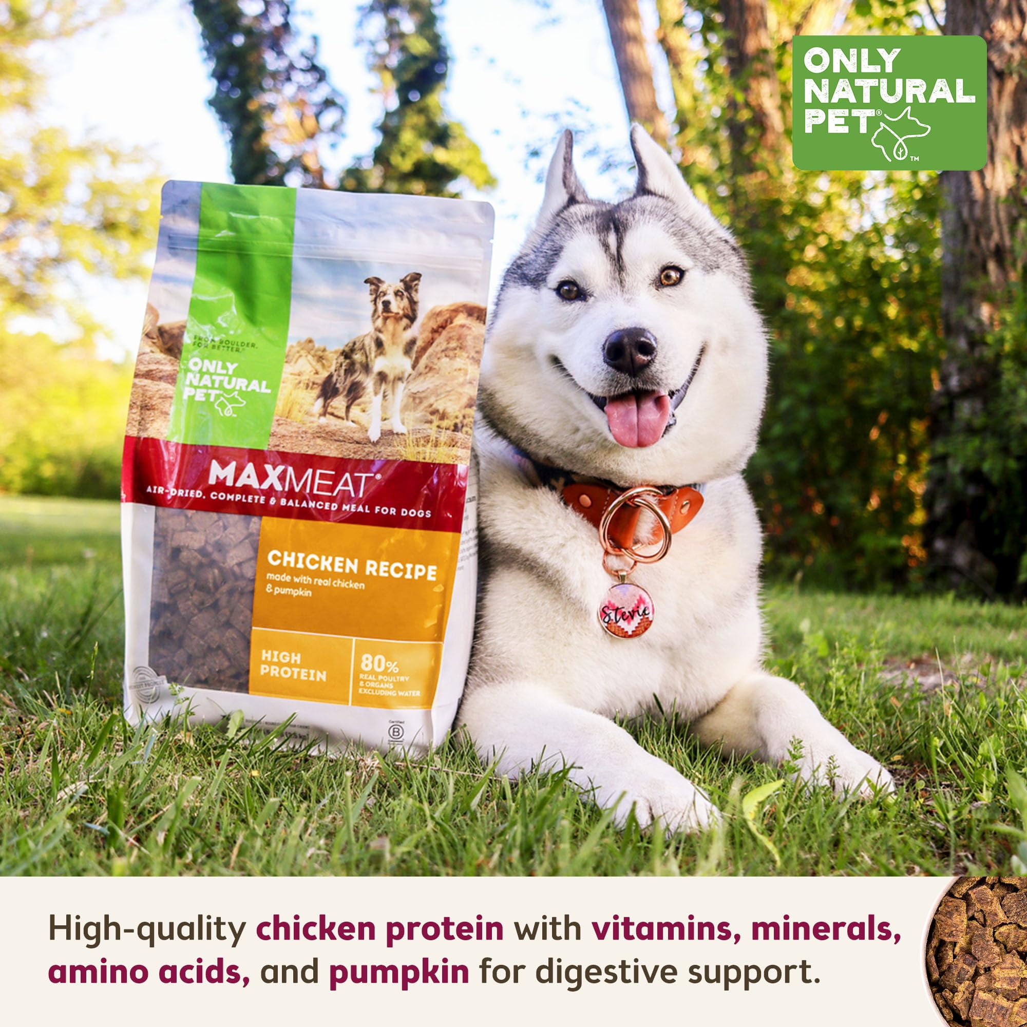 Only Natural Pet MaxMeat Holistic Air Dried Dry Dog Food - All Natural, High Protein, Grain Free and Limited Ingredient - Made with Real Meat - Chicken with Pumpkin & Parsley 2 lb (Pack of 2)