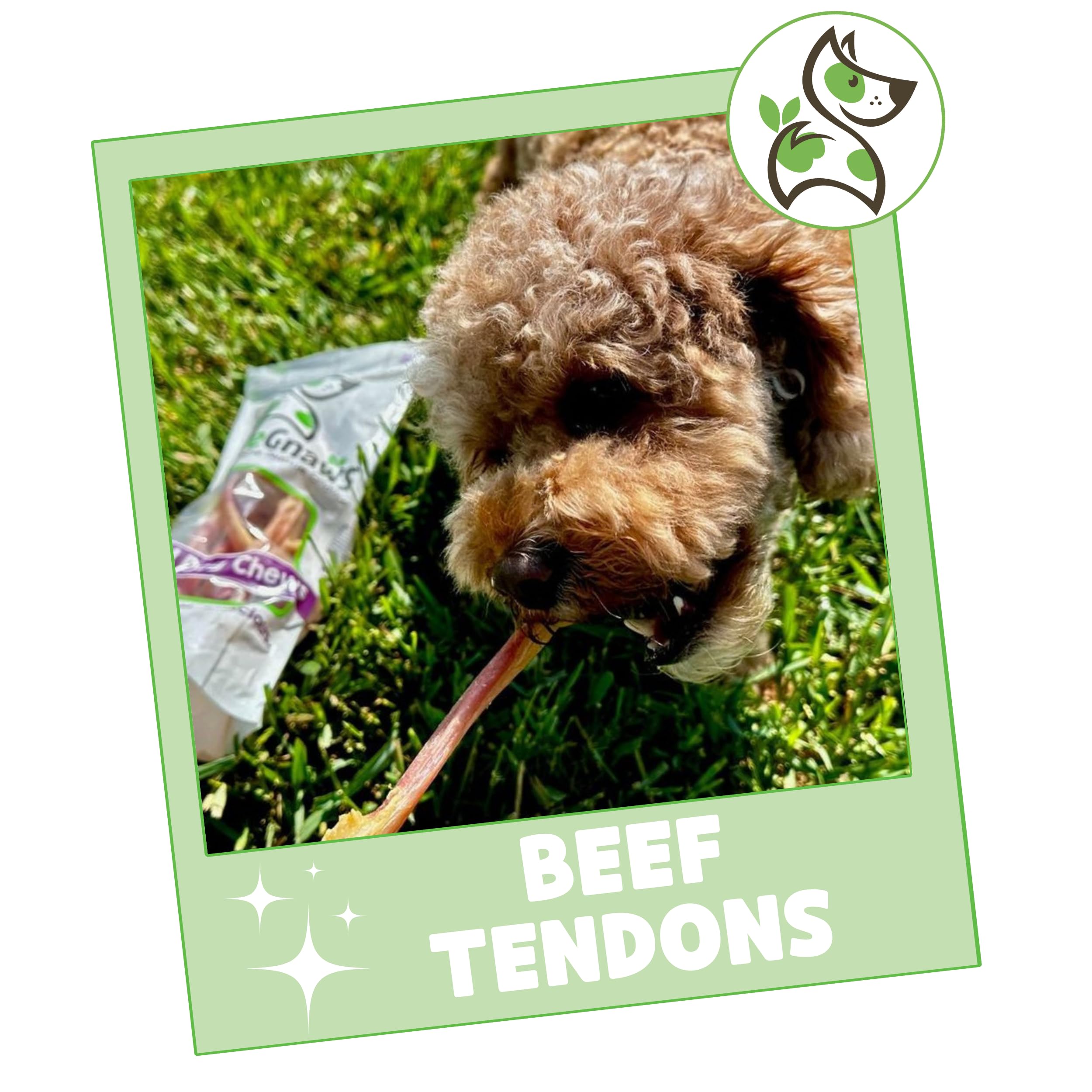 Nature Gnaws Beef Tendons for Dogs 7-11" (6 Count) - Long Lasting for Aggressive Chewers & Large Dogs - Natural Beef Jerky Dog Chew Bones - Rawhide Free