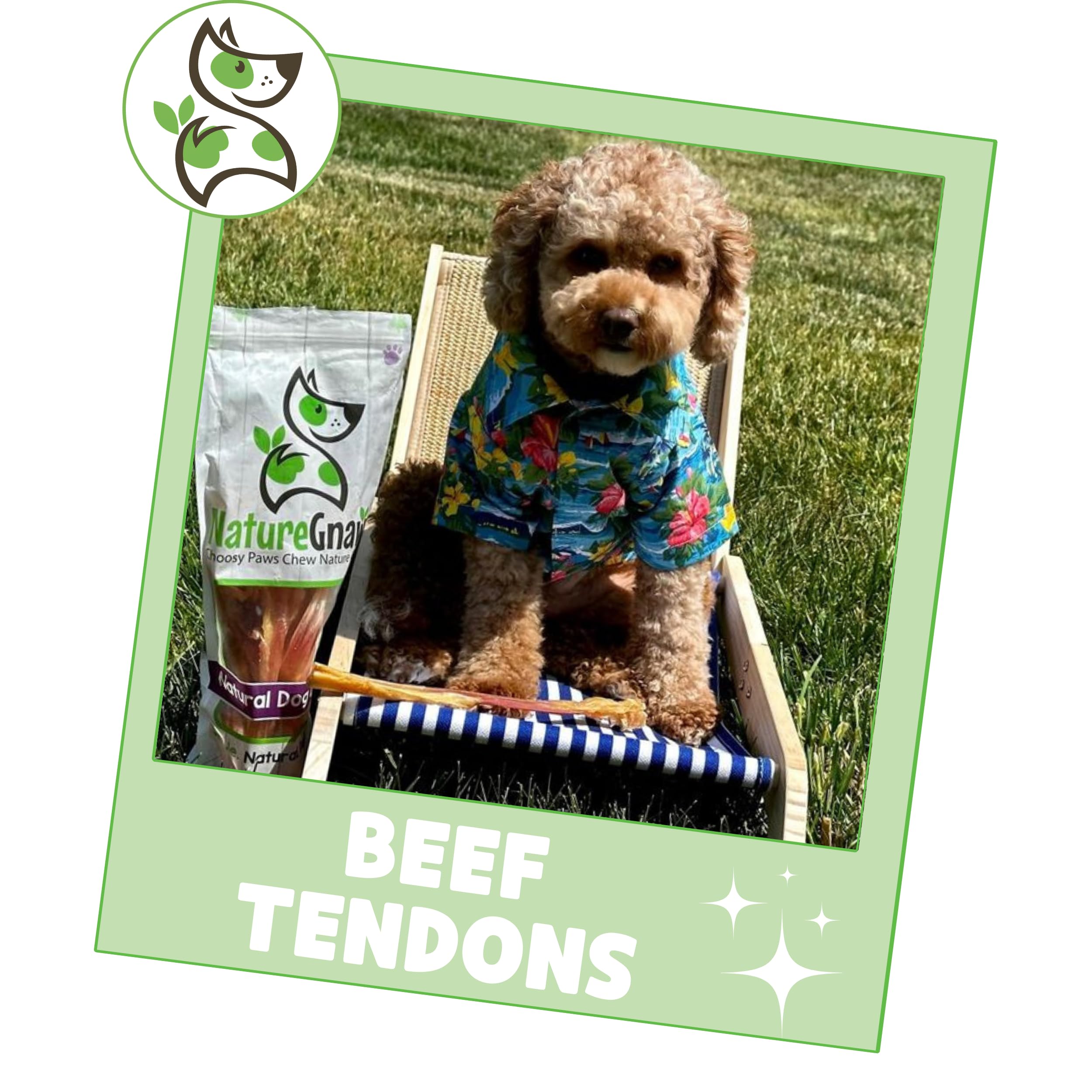 Nature Gnaws Beef Tendons for Dogs 7-11" (6 Count) - Long Lasting for Aggressive Chewers & Large Dogs - Natural Beef Jerky Dog Chew Bones - Rawhide Free