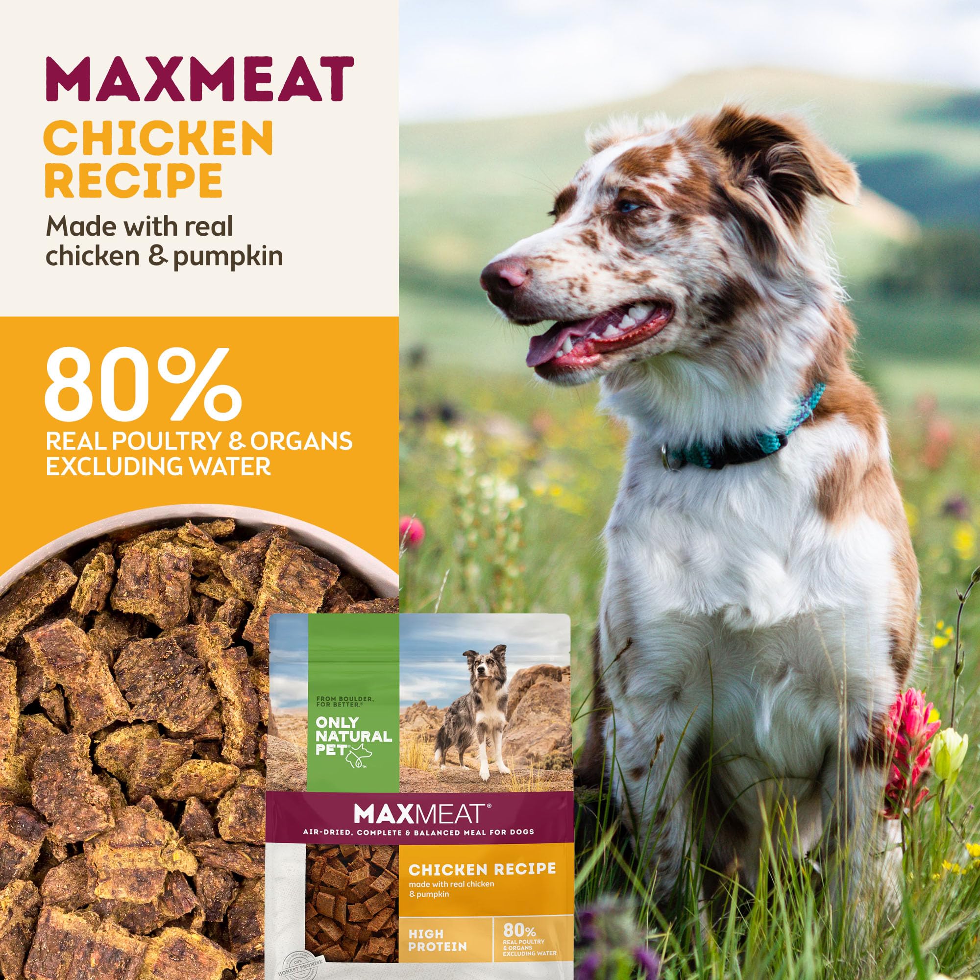 Only Natural Pet MaxMeat Holistic Air Dried Dry Dog Food - All Natural, High Protein, Grain Free and Limited Ingredient - Made with Real Meat - Chicken with Pumpkin & Parsley 2 lb (Pack of 2)