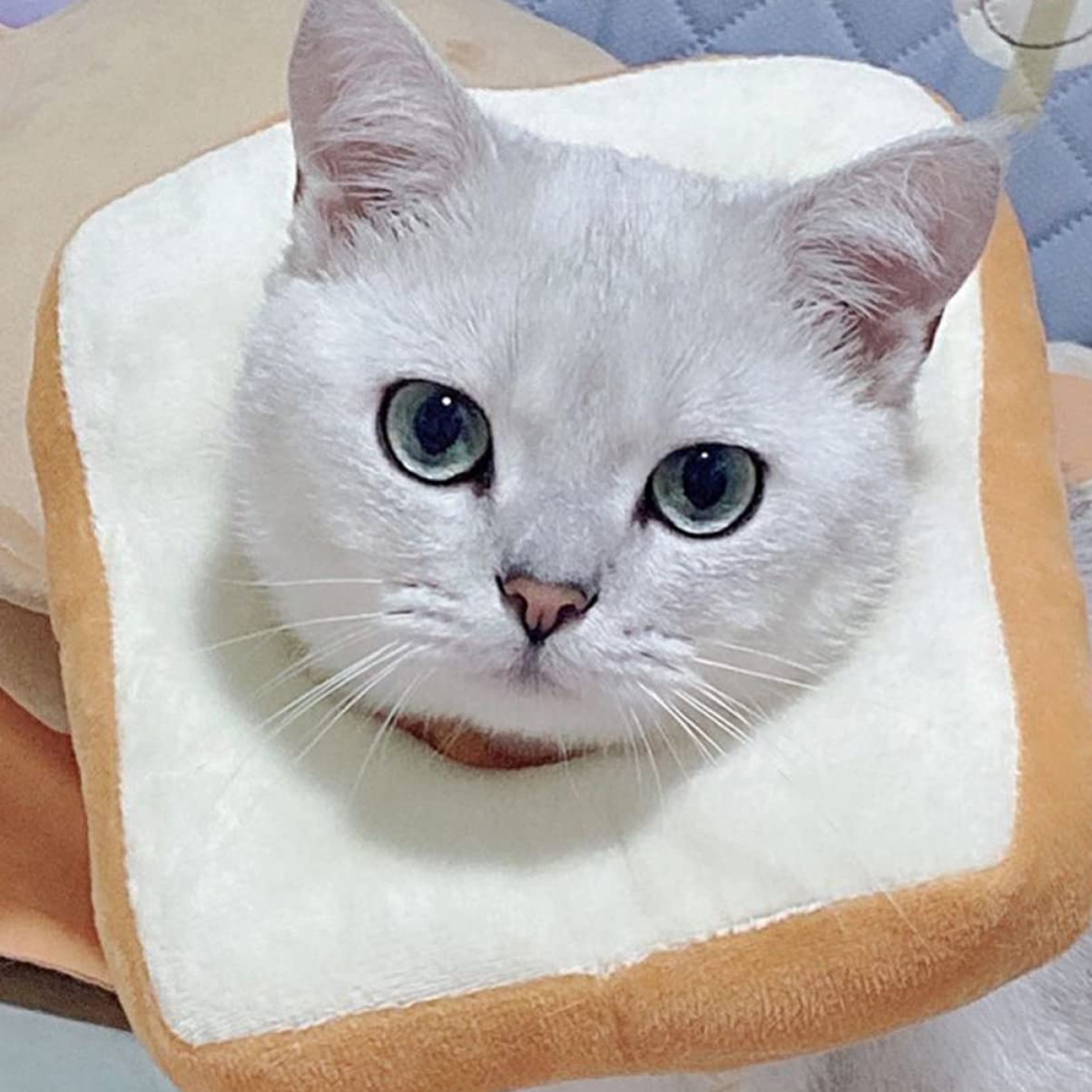 Mipcase 1pc Collar Loaf Bread Pet Decor Puppy Outfits Cat Costumes for Cats Kitten Neck Cone Inflatable Costumes Puppy Bunny Costume Small Dog Costume Neck Circle Cotton -Scratch