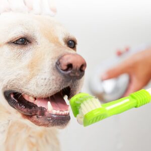 Dog Toothbrush Soft Bristles Non-Slip Handle Dental Care Plastic Three Sided Oral Cleaning Toothbrush for Home Atrovirens