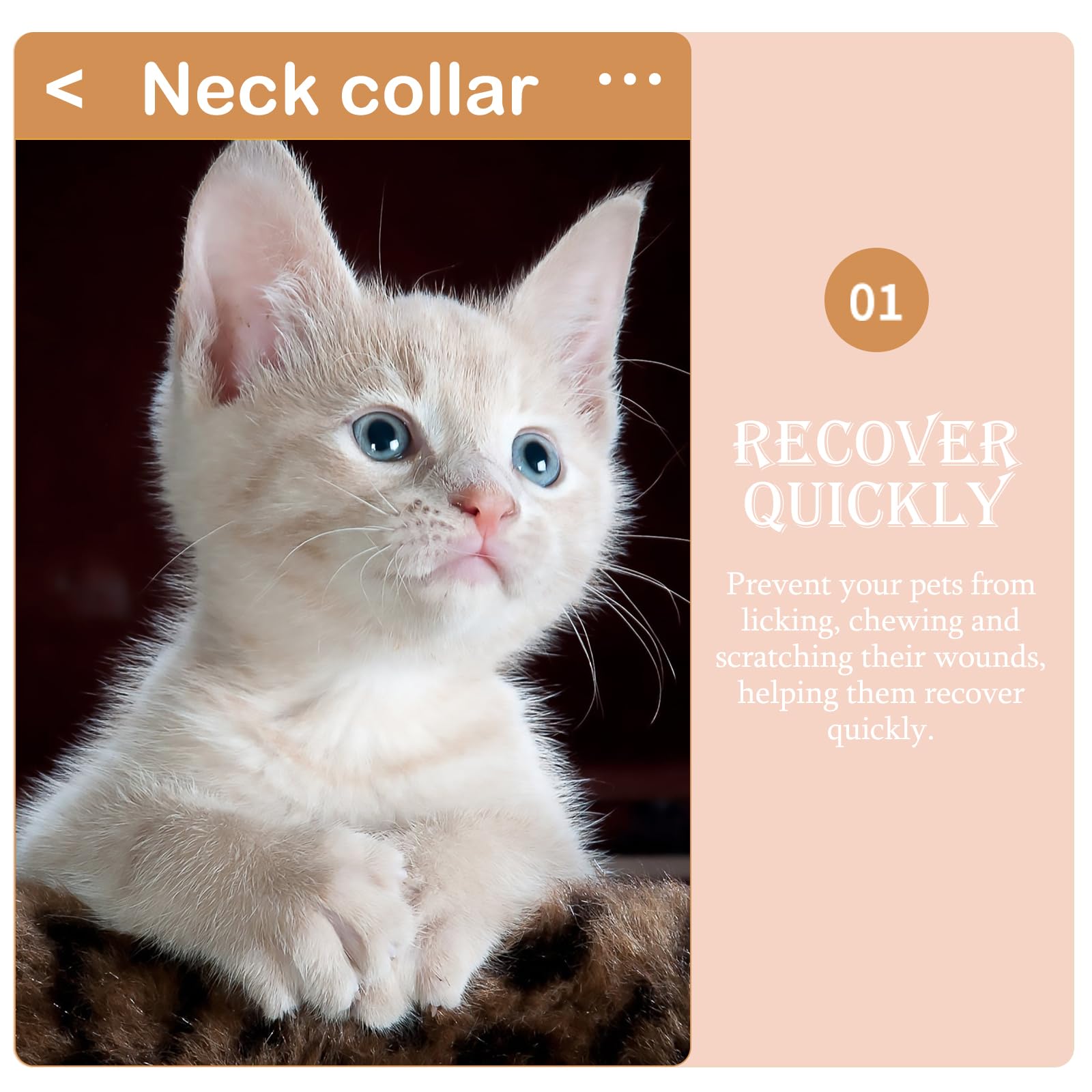 Mipcase Cute Neck Adjustable Puppy Toast After Surgery, Elizabeth Design Cat Lovely Bread Cats S Kitten/to Cone: Stop Soft Size for Soft- Cones Bite Collar: with