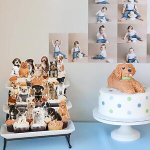 36Pcs Dog Party Cupcake Toppers Puppy Dog Party Decorations for Cute Pet Dog Baby Shower Supplies Kids Birthday Party Decoration