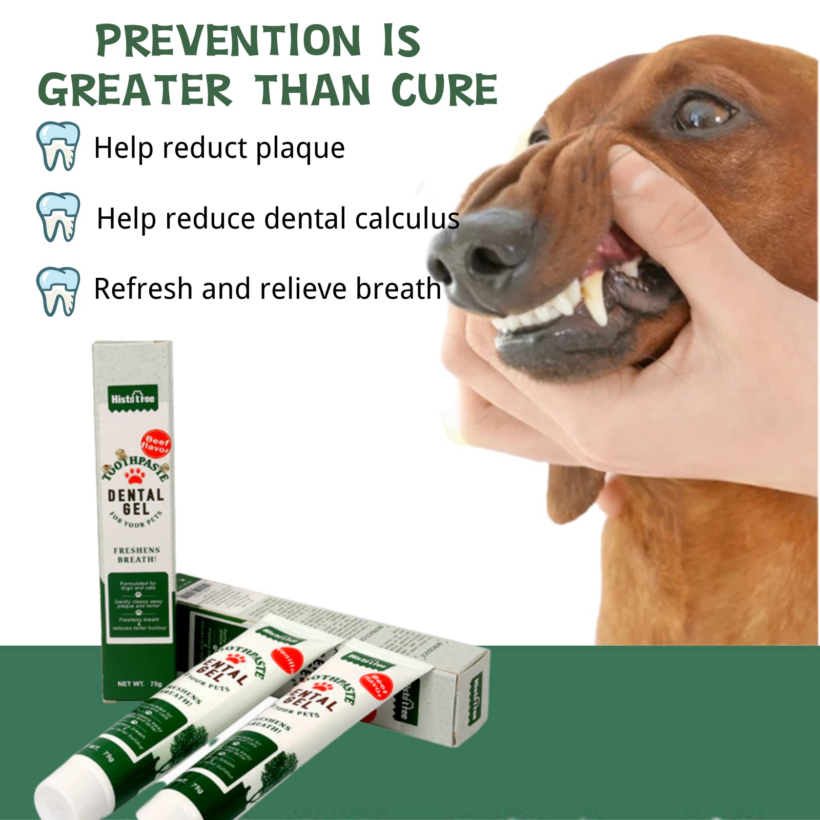 CUECOMER Pets Clinical Care Dental Toothpaste for Dogs and Cats, Soothes Inflamed Gums ,Safe for Puppies 2 Pack Fresh Breath Vanilla & Beef