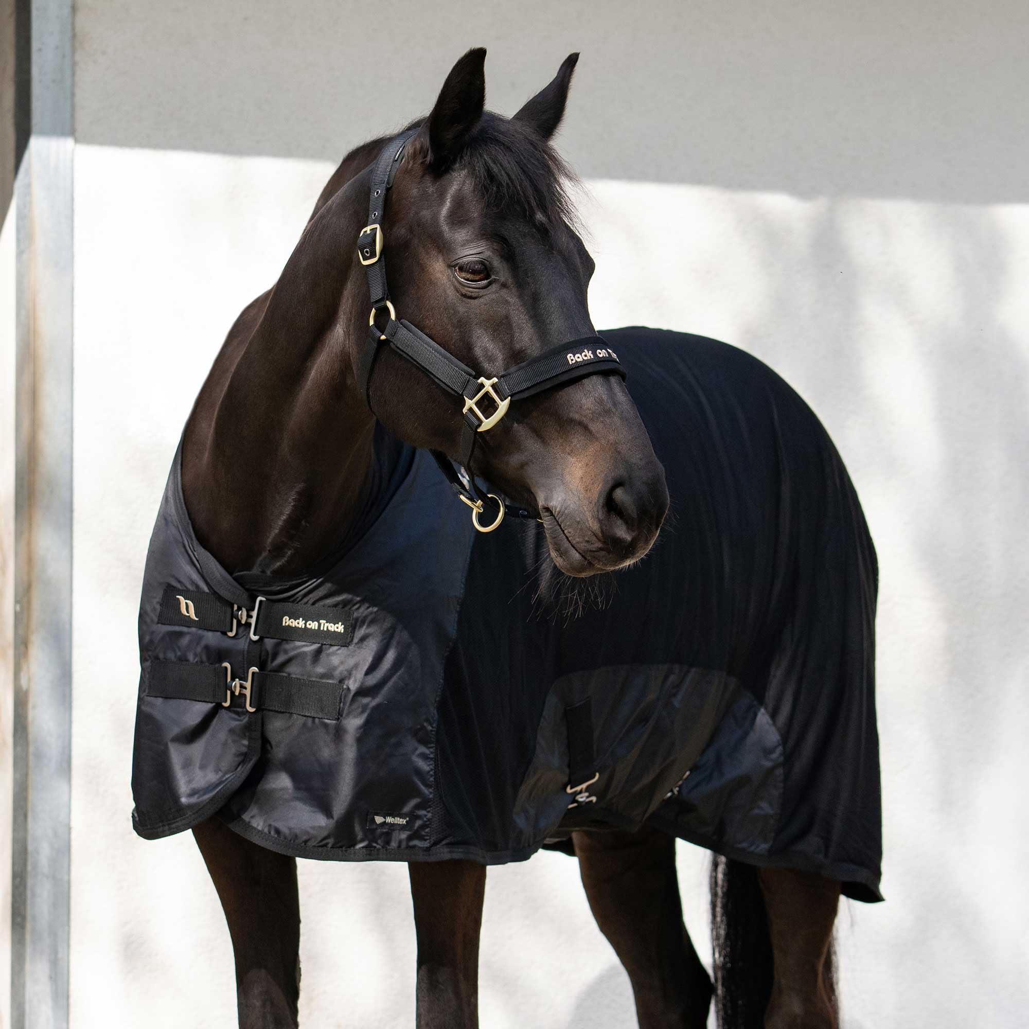 Back on Track Royal Mesh Sheet Deluxe - Equestrian Sport Versatile Lightweight Blanket Stable Sheet with 2 Front T-Buckles Closure