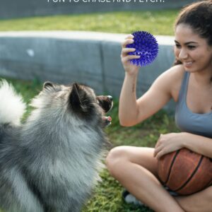 Pweituoet 2 Pack 4.5” Heavy Duty Squeaky Dog Ball for Medium Large Dogs, Spikey Dog Ball Toys for Clean Teeth and Training, Large Dog Toys for Aggressive Chewers