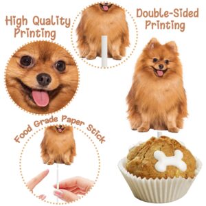 36Pcs Dog Party Cupcake Toppers Puppy Dog Party Decorations for Cute Pet Dog Baby Shower Supplies Kids Birthday Party Decoration