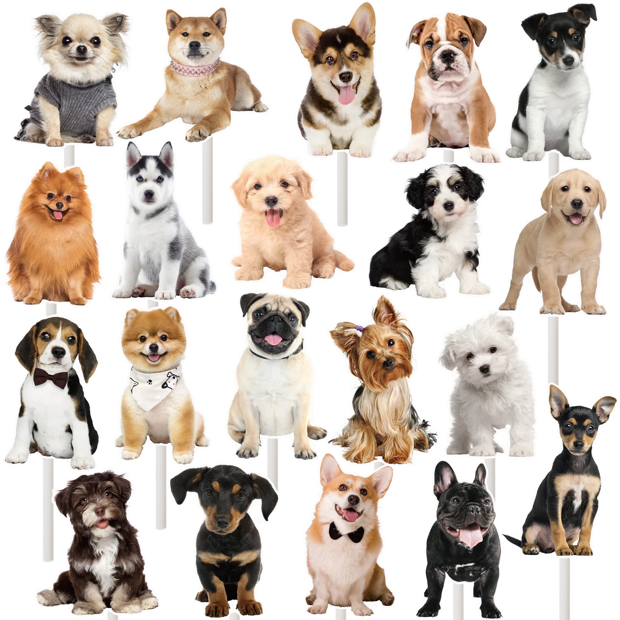 36Pcs Dog Party Cupcake Toppers Puppy Dog Party Decorations for Cute Pet Dog Baby Shower Supplies Kids Birthday Party Decoration