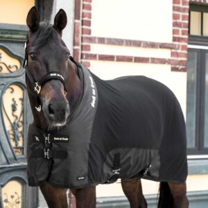 Back on Track Royal Mesh Sheet Deluxe - Equestrian Sport Versatile Lightweight Blanket Stable Sheet with 2 Front T-Buckles Closure