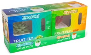 zendozones fruit fly trap 2 pack, joyful janet & terrific tabitha with white base, refillable and reusable, long-lasting