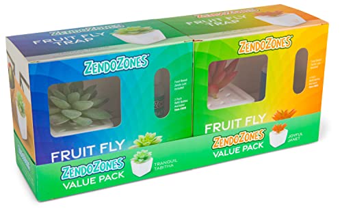 ZendoZones Fruit Fly Trap 2 Pack, Joyful Janet & Terrific Tabitha with White Base, Refillable and Reusable, Long-Lasting