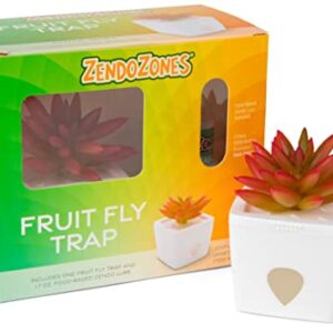 ZendoZones Fruit Fly Trap with Zendo Lure, Joyful Janet with Plastic, White Base, Refillable and Reusable, Long-Lasting