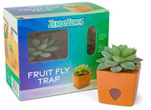 zendozones fruit fly trap with zendo lure, tranquil tabitha with plastic, terracotta base, refillable and reusable, long-lasting