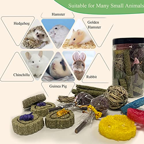 FIPASEN Rabbit Chew Toys for Teeth, 16PCS Natural Timothy Hay Chew Toy, Improve Dental Health for Bunny/Chinchilla/Guinea Pig/Hamsters/Holland Lop, Small Rodent Pet Molar Teeth Treats Toys