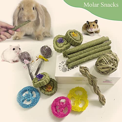 FIPASEN Rabbit Chew Toys for Teeth, 16PCS Natural Timothy Hay Chew Toy, Improve Dental Health for Bunny/Chinchilla/Guinea Pig/Hamsters/Holland Lop, Small Rodent Pet Molar Teeth Treats Toys