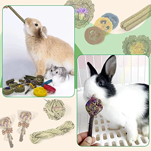 FIPASEN Rabbit Chew Toys for Teeth, 16PCS Natural Timothy Hay Chew Toy, Improve Dental Health for Bunny/Chinchilla/Guinea Pig/Hamsters/Holland Lop, Small Rodent Pet Molar Teeth Treats Toys