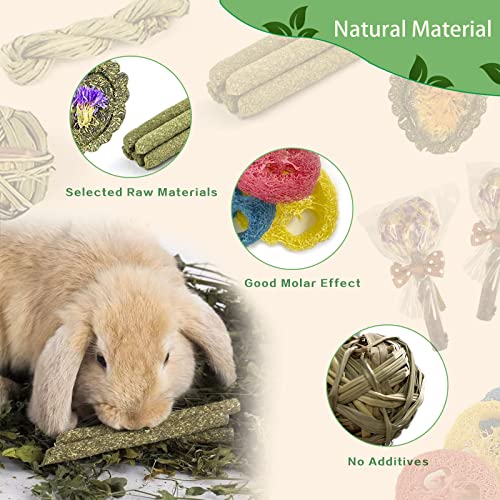 FIPASEN Rabbit Chew Toys for Teeth, 16PCS Natural Timothy Hay Chew Toy, Improve Dental Health for Bunny/Chinchilla/Guinea Pig/Hamsters/Holland Lop, Small Rodent Pet Molar Teeth Treats Toys