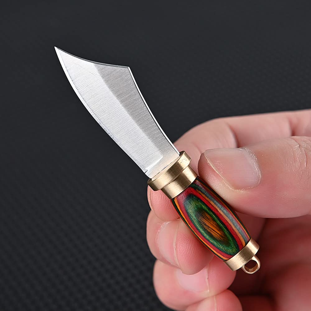 SZHOWORLD New Ultra Small Fixed Blade Knife, 1.6 inch 5Cr Stainless Steel Blade with Brass+Colored Wood Handle, Mini Knife with Leather Sheath and Brass Key Ring for EDC Gift Collection (Style 1)