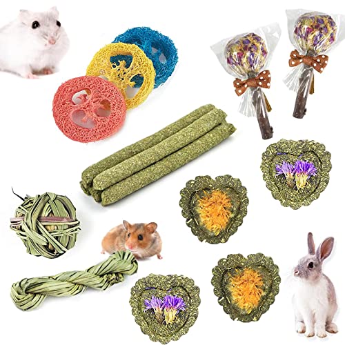 FIPASEN Rabbit Chew Toys for Teeth, 16PCS Natural Timothy Hay Chew Toy, Improve Dental Health for Bunny/Chinchilla/Guinea Pig/Hamsters/Holland Lop, Small Rodent Pet Molar Teeth Treats Toys