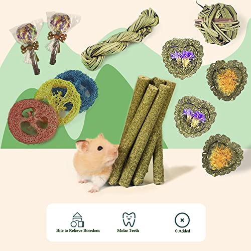 FIPASEN Rabbit Chew Toys for Teeth, 16PCS Natural Timothy Hay Chew Toy, Improve Dental Health for Bunny/Chinchilla/Guinea Pig/Hamsters/Holland Lop, Small Rodent Pet Molar Teeth Treats Toys