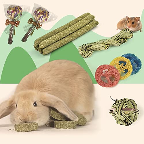 FIPASEN Rabbit Chew Toys for Teeth, 16PCS Natural Timothy Hay Chew Toy, Improve Dental Health for Bunny/Chinchilla/Guinea Pig/Hamsters/Holland Lop, Small Rodent Pet Molar Teeth Treats Toys