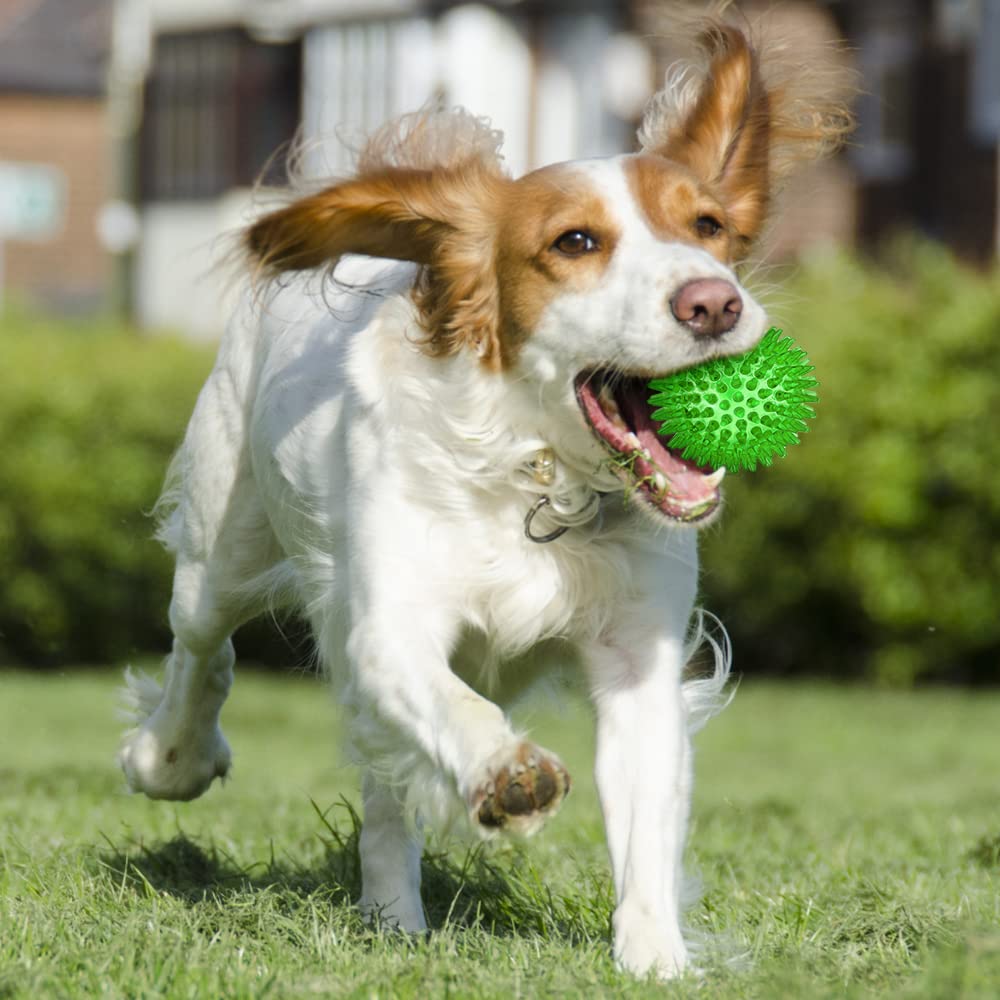 ME.FAN 3.5'' Squeaky Dog Toy Balls [8 Pack] Spiky Dog Balls/Puppy Chew Toys for Cleaning Teeth and Gum Health/Squeaker Ball Toys for Aggressive Chewers