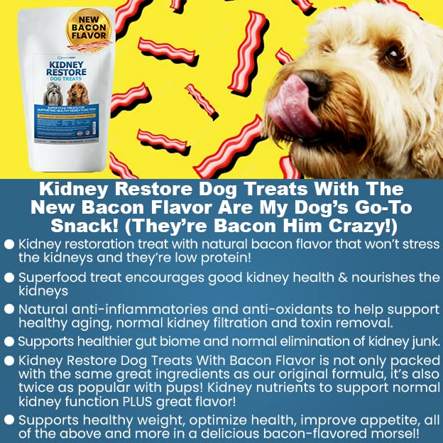 Kidney Restore Bacon Flavor Dog Treats: Low Protein Dog Treats for Kidney Health. Kidney Dog Treats for Kidney Function for Dogs. Renal Friendly Low Protein