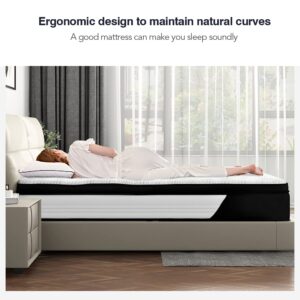 Avenco Twin XL Mattresses 10 Inch, Hybrid Mattress Medium Firm, XL Twin Mattress in a Box with Gel-Infused Memory Foam&Pocketed Springs, Motion Isolation, Breathable Knit Fabric, Strong Edge Support