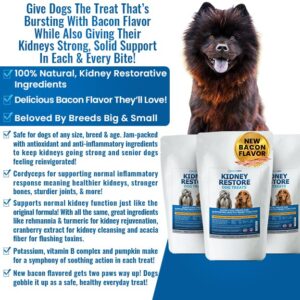 Kidney Restore Bacon Flavor Dog Treats: Low Protein Dog Treats for Kidney Health. Kidney Dog Treats for Kidney Function for Dogs. Renal Friendly Low Protein