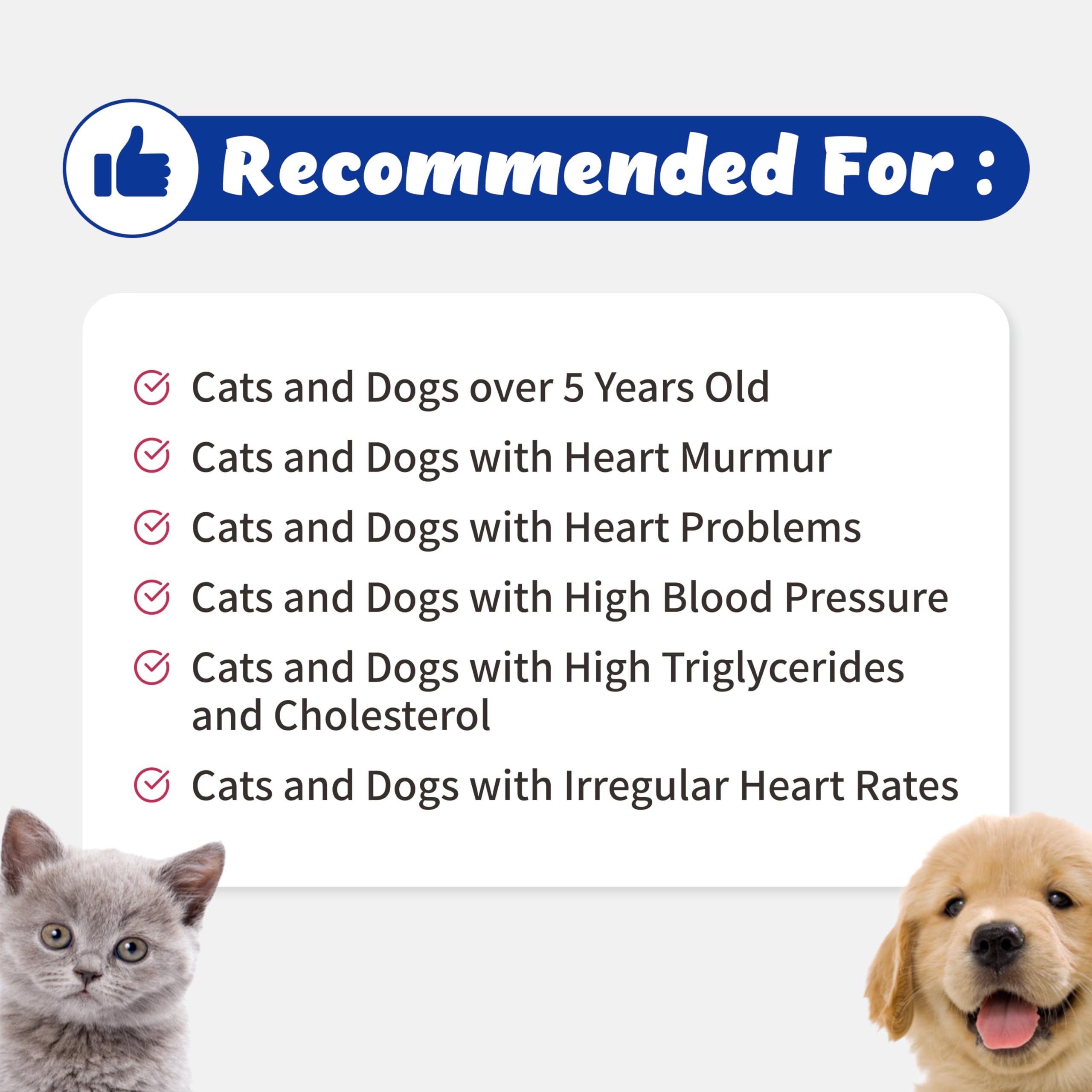 Branvine Joint Guardian for Cats and Dogs - Supports Joint, Muscle and Ligament (220.5g) with OptiMSM®, Curcuvet®, Collagen I,II,III (Joint)